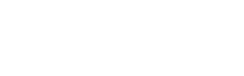 at Tokyo Bunka Kaikan. November to Desember 2020 Japan Tour. The Bolshoi Theatre Orchestra. Ballet Director:Makhar Vaziev