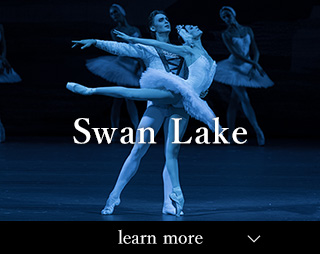 Swan Lake