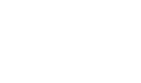 PREMIUM BOLSHOI TICKET