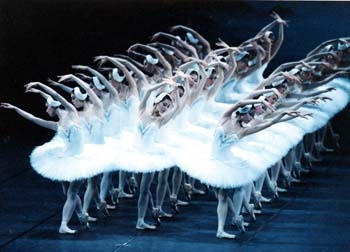 Asami Maki Ballet Tokyo